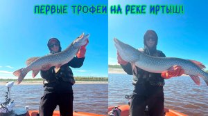 Первые трофеи на реке Иртыш! #щука #рыбалка #спиннинг #pike
