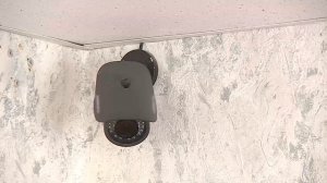 Новости на Своём от 29 августа 2025г. 19:30