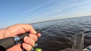 Рыбалка на судака,ловил на перегруз