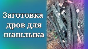 Заготовка дров для шашлыка