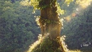 Рассказы жизненные истории из жизни людей. Как курортный Роман нашел свое начало....