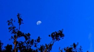 "Дорогой длинною" Русский романс