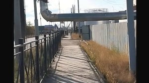 Прогулка в тишине. Ул. Лонгинова в с. Борогонцы, 2025 г.