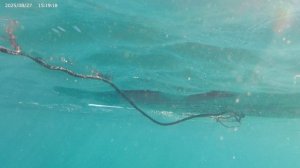 День 12 (27.08.25) - Турбаза Энергетик