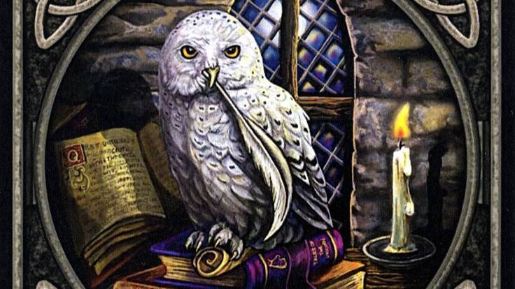 Ответ Высших сил на ваш вопрос