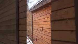 Гермес 8кВт Сылва