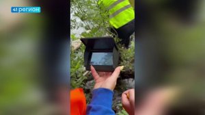 ЖИТЕЛЯМ КАМЧАТКИ РАССКАЗАЛИ, КТО ЧАЩЕ ТЕРЯЕТСЯ В ЛЕСУ • ПРЯМАЯ РЕЧЬ