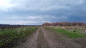Исчезнувшая деревня Арсентьевка, Петровский район.