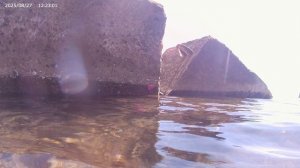 День 12 (27.08.25) - Турбаза Энергетик