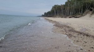 Балтийская жемчужина: Куршская коса – место, где встречаются море и небеса