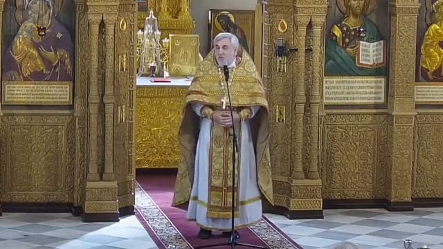 Исцеление отрока-лунатика (по Матфею). Проповедь иерея Владимира Коваль-Зайцева смотреть онлайн