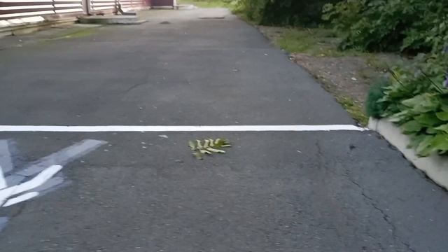 каталки смотреть онлайн