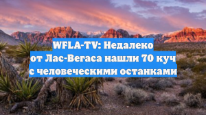 WFLA-TV: Недалеко от Лас-Вегаса нашли 70 куч с человеческими останками