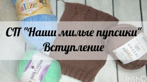 СП "Наши милые пупсики" Вступление 🧶🧶🧶