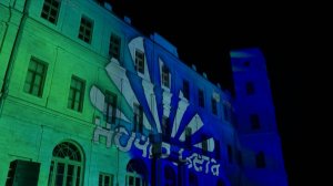 Игра света, ковры из детства и плакучая ива: в Гатчине стартовал фестиваль «Ночь света»