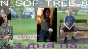 3 дня на ... ПОЛН.ВЕР.(А) -- N_S0F_ТREE_8  _280825