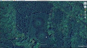 Лес в виде кругов. Аномалия в Японии или рукотворные объекты