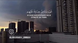 красивое чтение Корана