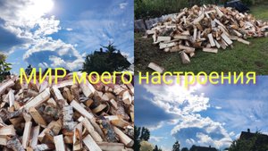 24.08.25 Дача.Готовимся к прокладке водопровода.Купили дрова.