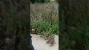 выполняем ваши задания