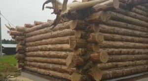 Видео-обзор дома из рубленного бревна построенного компанией Арт Строй Дизайн