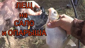 ЛЕЩ на САЛО и ОПАРЫША. Рыбалка на ДОНКИ на Москве реке в Софьино