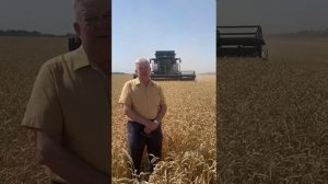 Отзыв Красногвардейский район