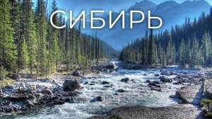 Дикая природа Сибири/Wildlife of Siberia.