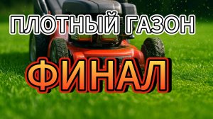 Косим низко — секрет плотного и густого газона. Предфинал.  #газон #уходзагазоном #газонокосилка