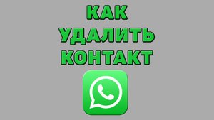 Как удалить контакт в Ватсапе
