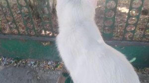 Распаковка продуктов 🛍️ Сильный ветер на улице! Болтаю на улице! Юг России 🏝️.