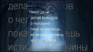 цитата
