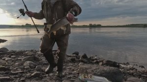 Дубасим рыб. Рыбалка семьёй на Оби ч.3 Щука прёт)))