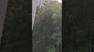 Любой рай.   Гл 1 ''Муж пропал''..    Анна Шум.     / мой псевдоним/