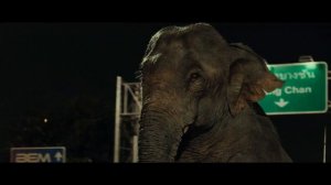 VM TRUNK TRUCKER PR ONLINE MIX