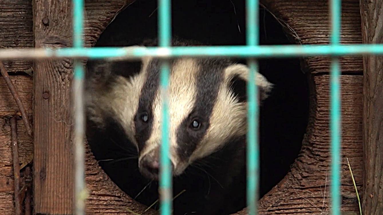 Большая область | 30.08.2025