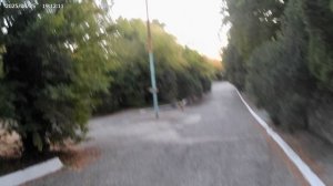 День 10 (25.08.25) - Турбаза Энергетик