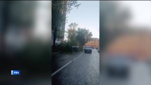 В Уфе в результате непогоды на улице Бессонова сломалось дерево