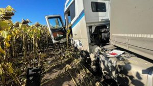 Два человека погибли в ДТП с 5 автомобилями в Воронежской области