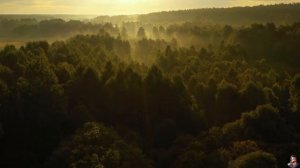 Было или нет. Страшные. Мистические. Творческие истории. Хоррор