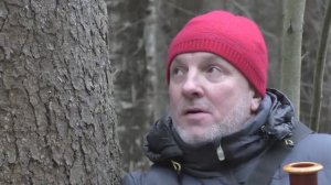 "СИЗИФ" - Режиссёр ОЛЕГ ЮРАСОВ - Волчата и Я... Встреча в лесу... /Эпизод №1/