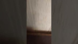 алапааорор