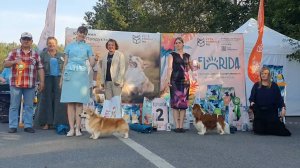 13.07.2025, СПб. Клуб "Триумф-2" (РКФ, РФСС). Выставка собак всех пород "ПУТЬ К ТРИУМФУ" (САС, ЧФ)