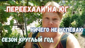 #74🌷С утра на грядках/Салат на ужин/Переработала яблоки/Перевезла лук/Вечерний полив