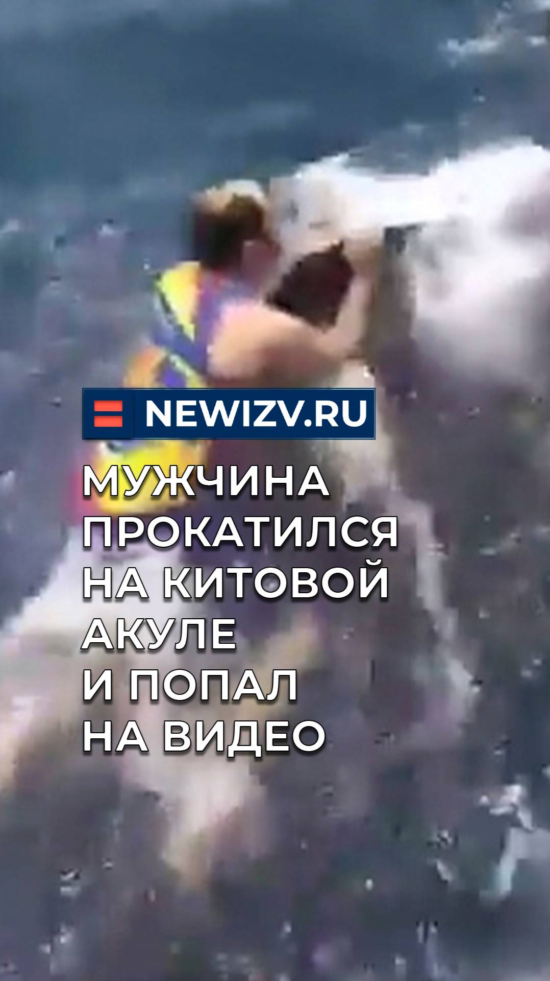 Мужчина прокатился на китовой акуле и попал на видео