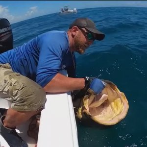 Рыбалка на рыбу монстра!!!