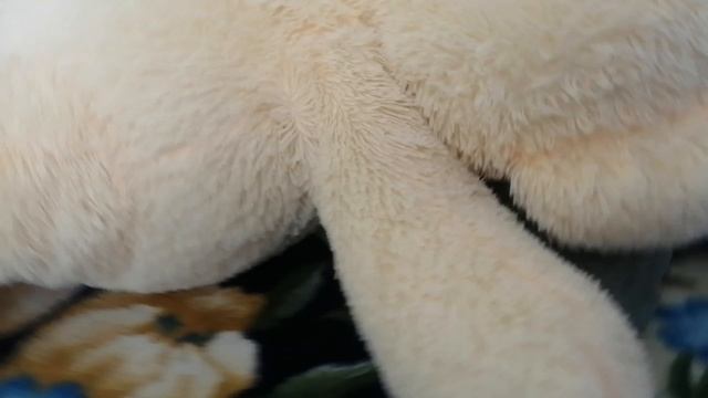 Барсик и легенда о колбасном складе.