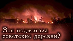Как красноармейцы половину Московской области сожгли