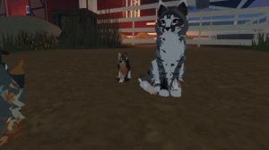 я меняю ос канала..