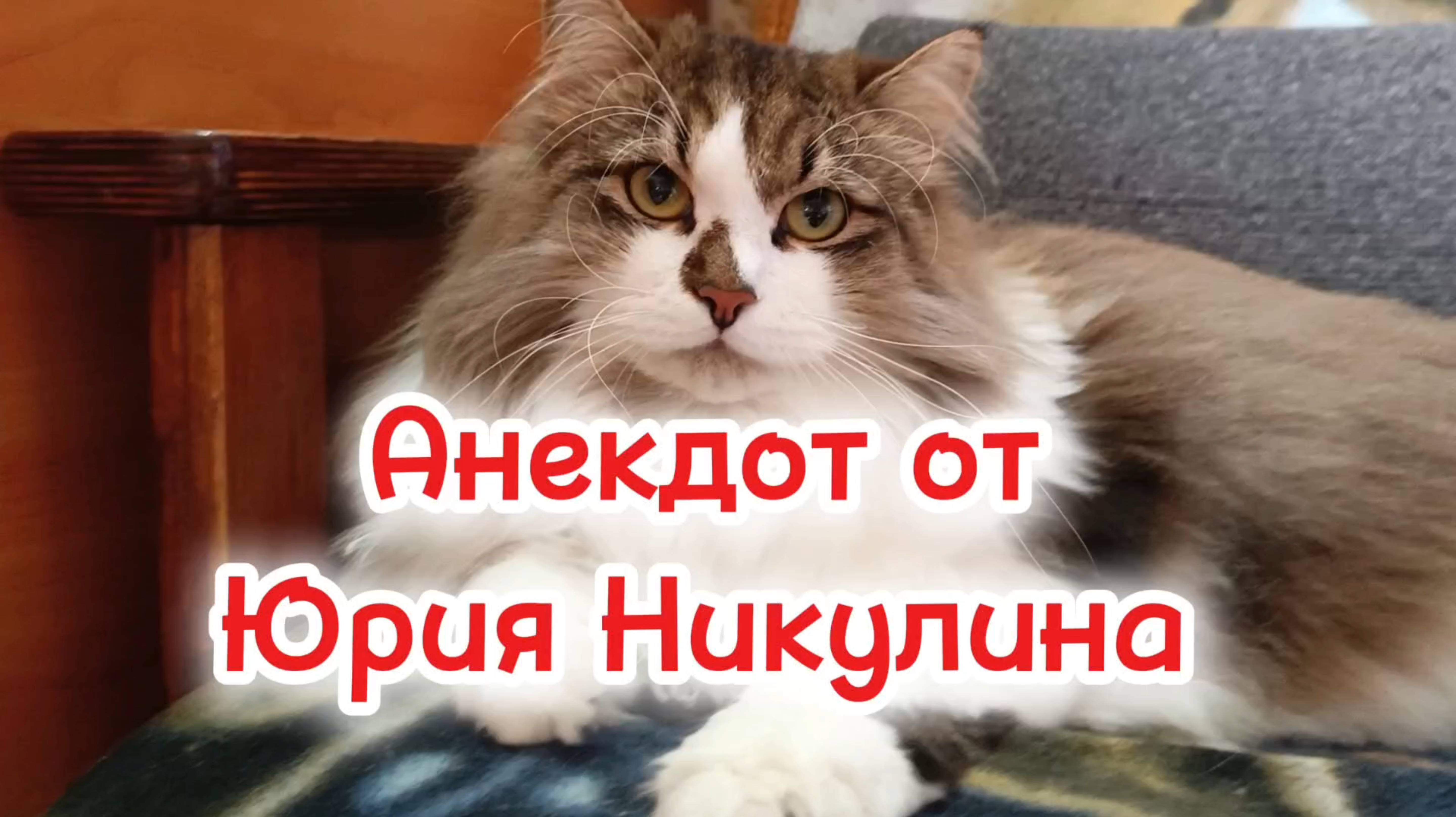 Анекдот от Юрия Никулина.